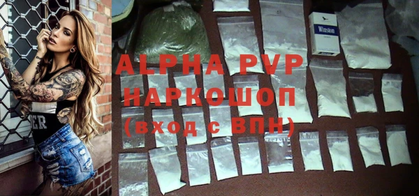 винт Бородино