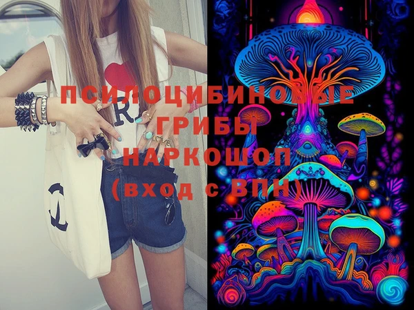 винт Бородино