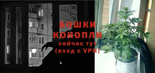 винт Бородино