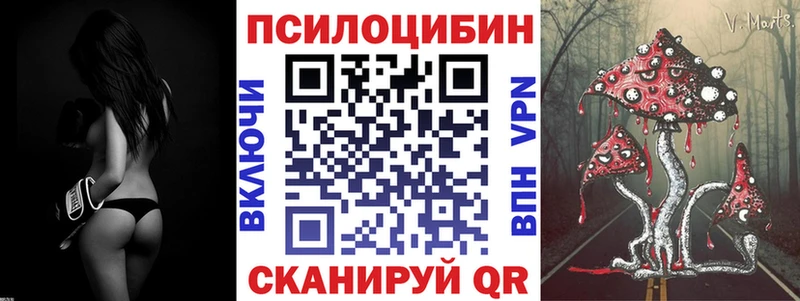 как найти наркотики  Тюмень  Галлюциногенные грибы Psilocybe 