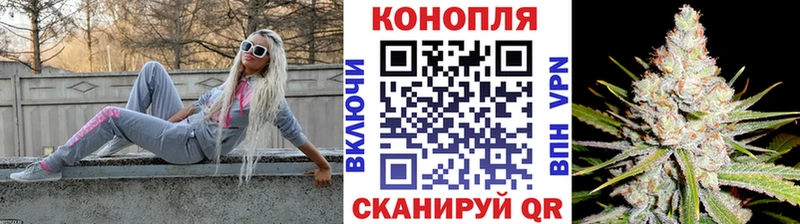 Шишки марихуана семена  даркнет какой сайт  Тюмень 